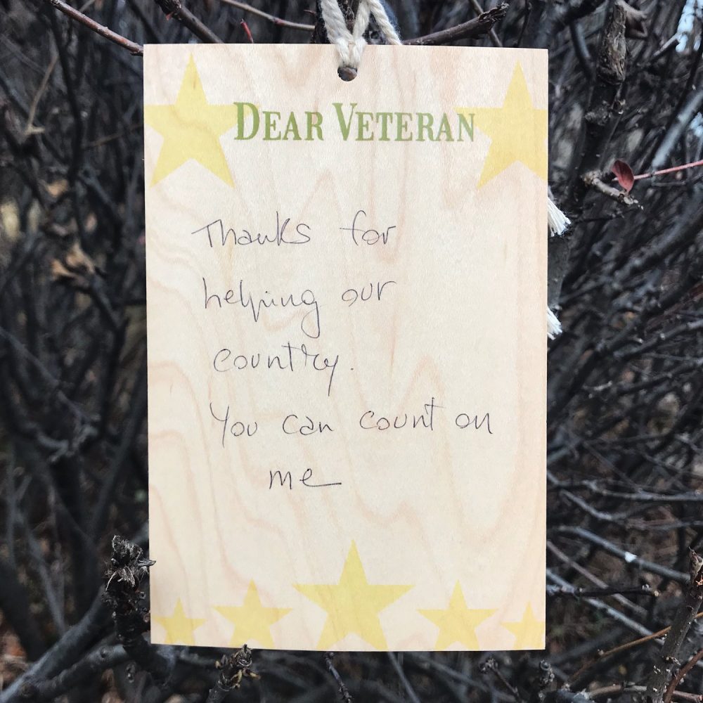 DearVeteran_DEC18_2017